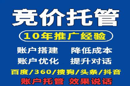 行业领先企业的SEM优化之路